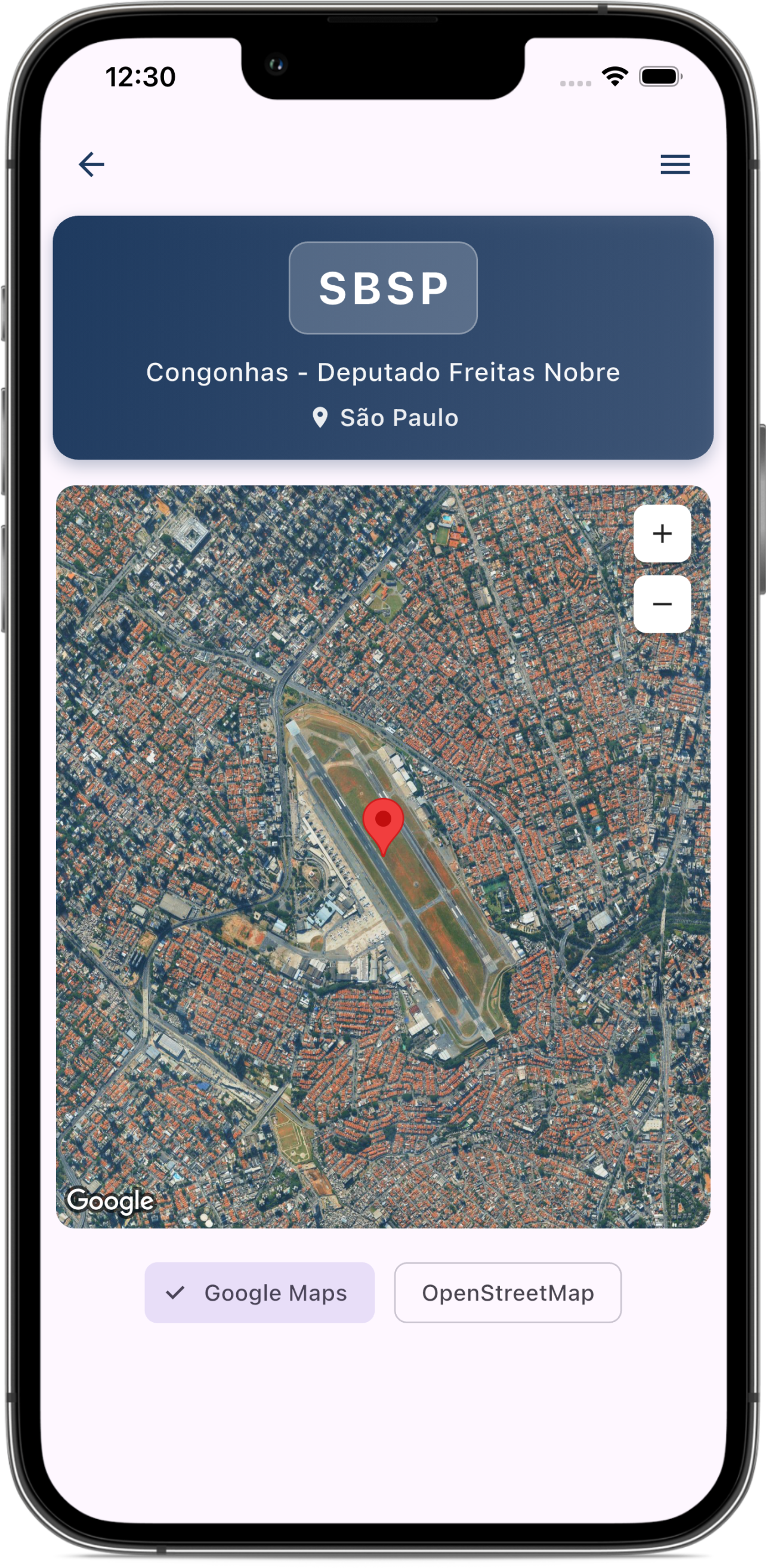 Interface do app AIS BR demonstrando opções de visualização de mapas em camadas